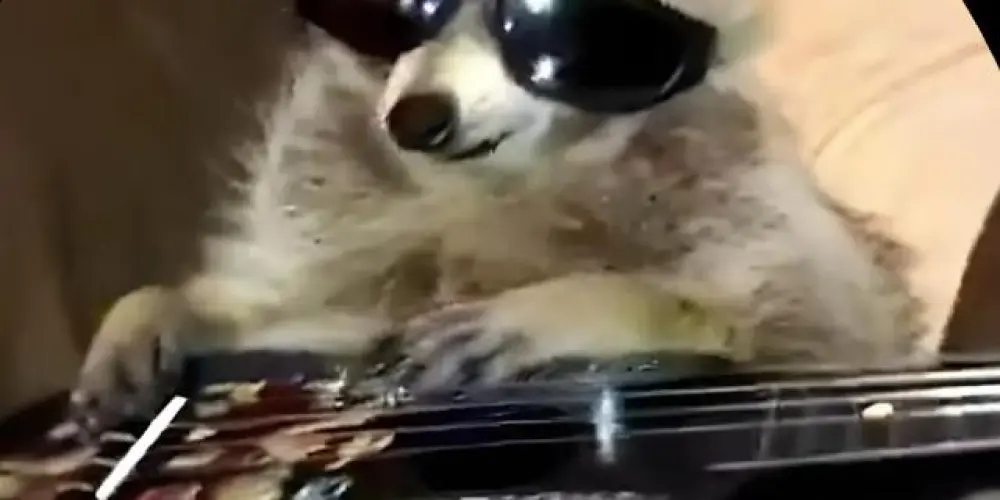 Imagem do grupo de WhatsApp Bora bagunça