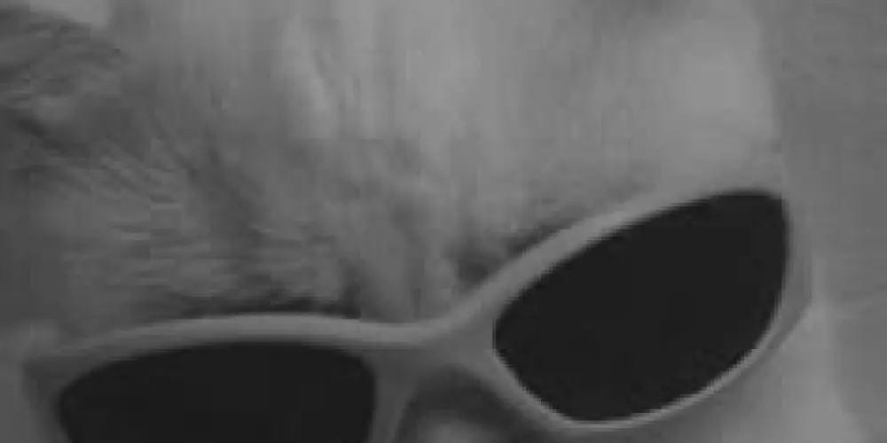 Imagem do grupo de WhatsApp Bora conversar