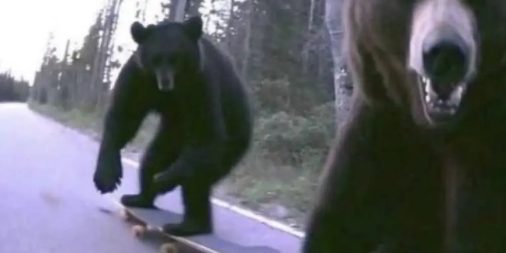 Imagem do grupo de WhatsApp Bora Juntar📍