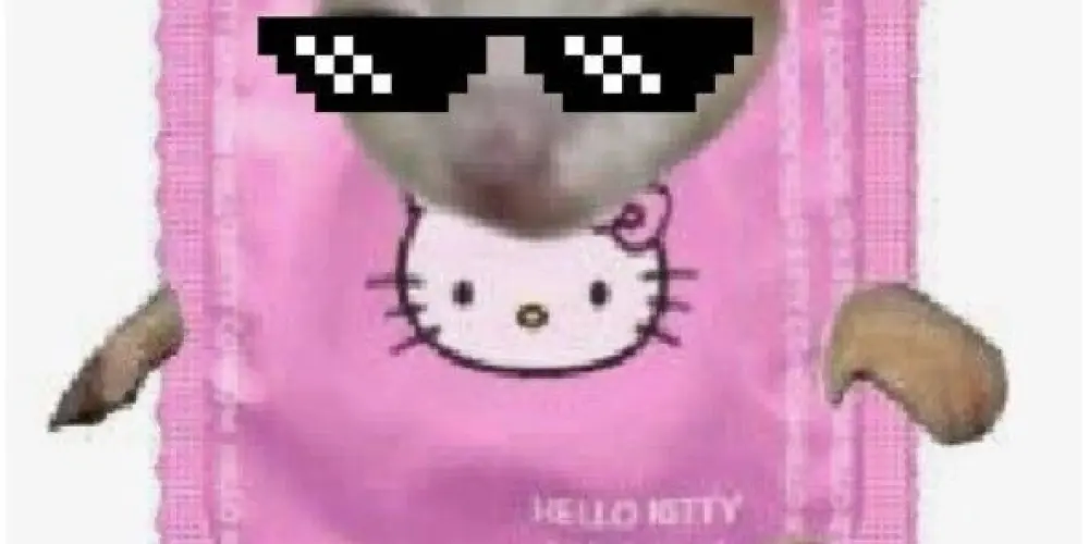 Imagem do grupo de WhatsApp Bora namorar?