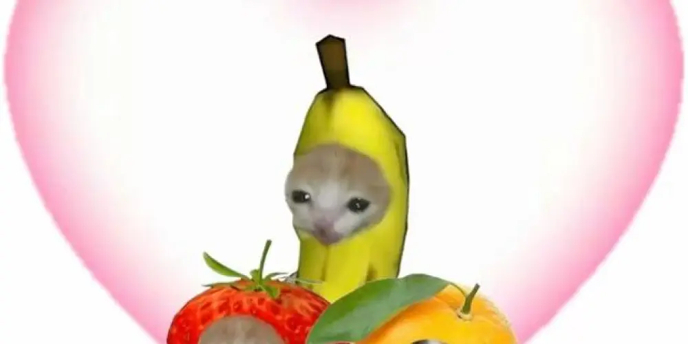 Imagem do grupo de WhatsApp Bora Trocar Ideia