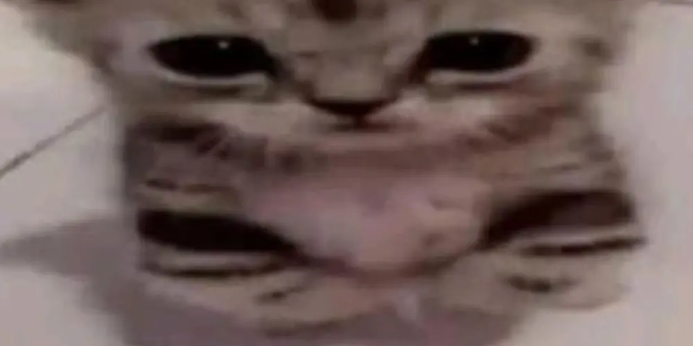 Imagem do grupo de WhatsApp Bordel aleatório 💤𝗓𐰁