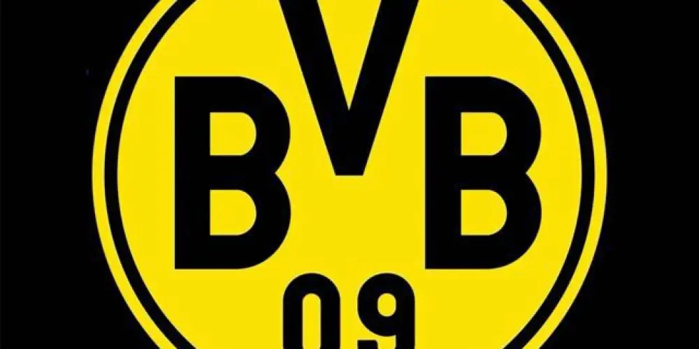 Imagem do grupo de WhatsApp Borussia Dortmund Brasil