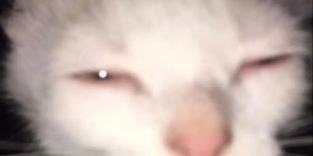 Imagem do grupo de WhatsApp Bot-Figurinhas 🤖