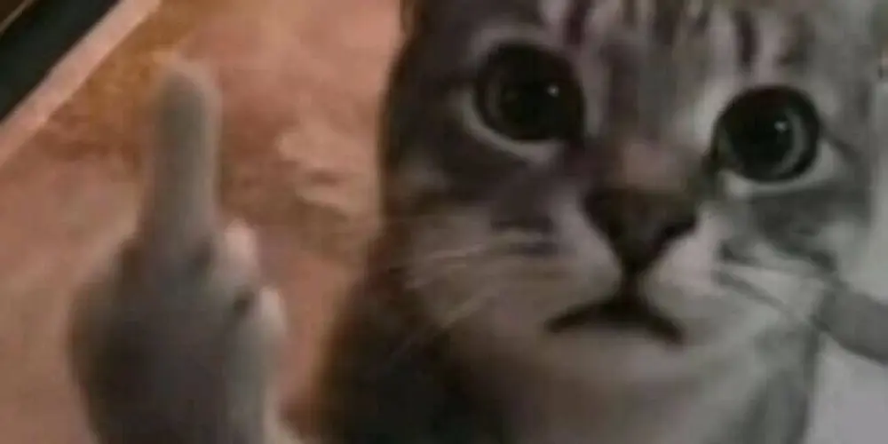 Imagem do grupo de WhatsApp Bot Group