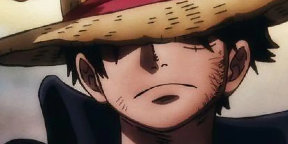 Imagem do grupo de WhatsApp Bot monkey D. Luffy