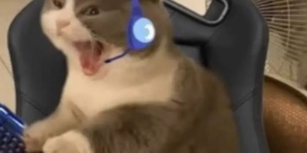 Imagem do grupo de WhatsApp Boteco da cachorrada