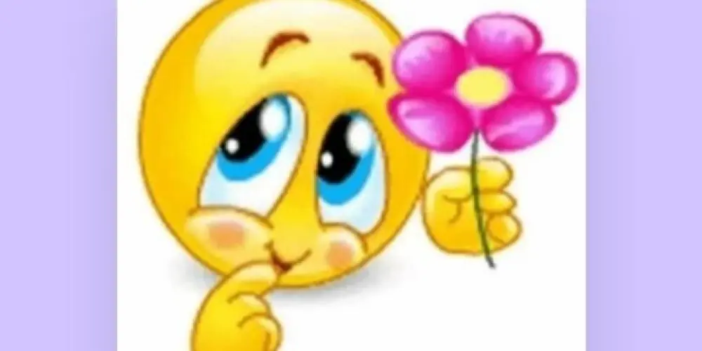 Imagem do grupo de WhatsApp BR CAOS😶‍🌫🫶🏻