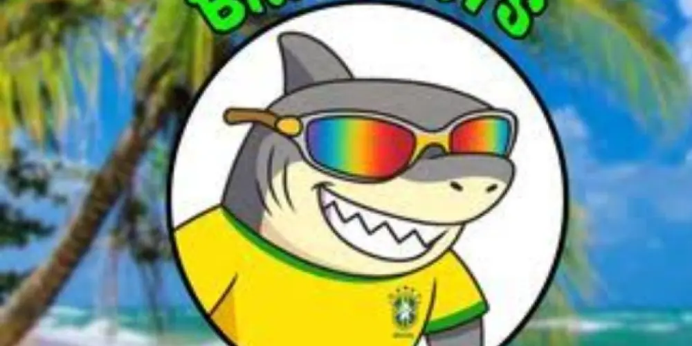 Imagem do grupo de WhatsApp 🇧🇷 brairots Brasil 🇧🇷