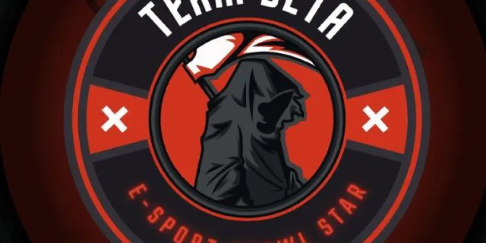 Imagem do grupo de WhatsApp BRALW STARS