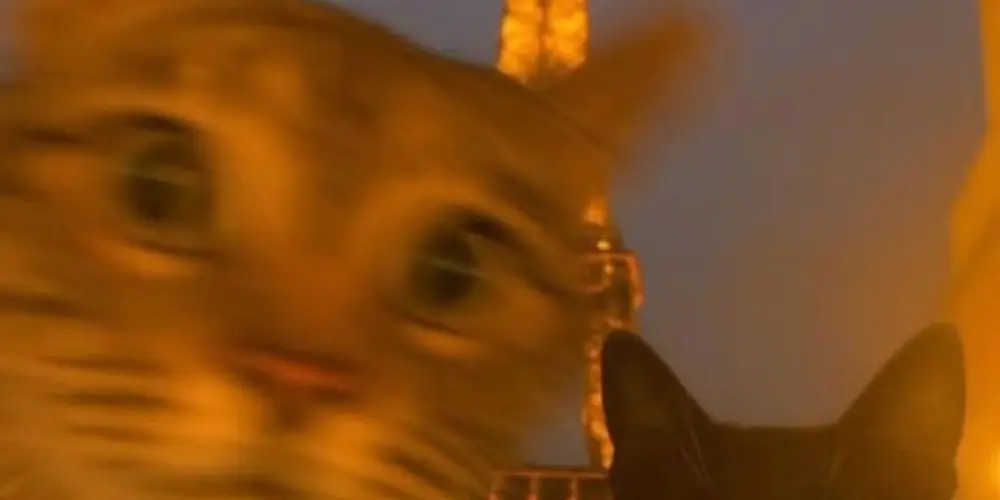 Imagem do grupo de WhatsApp 👑Bran Castle👑