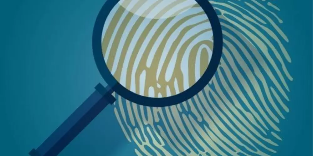 Imagem do grupo de WhatsApp 🇧🇷 Brasil_Investigações 🔍