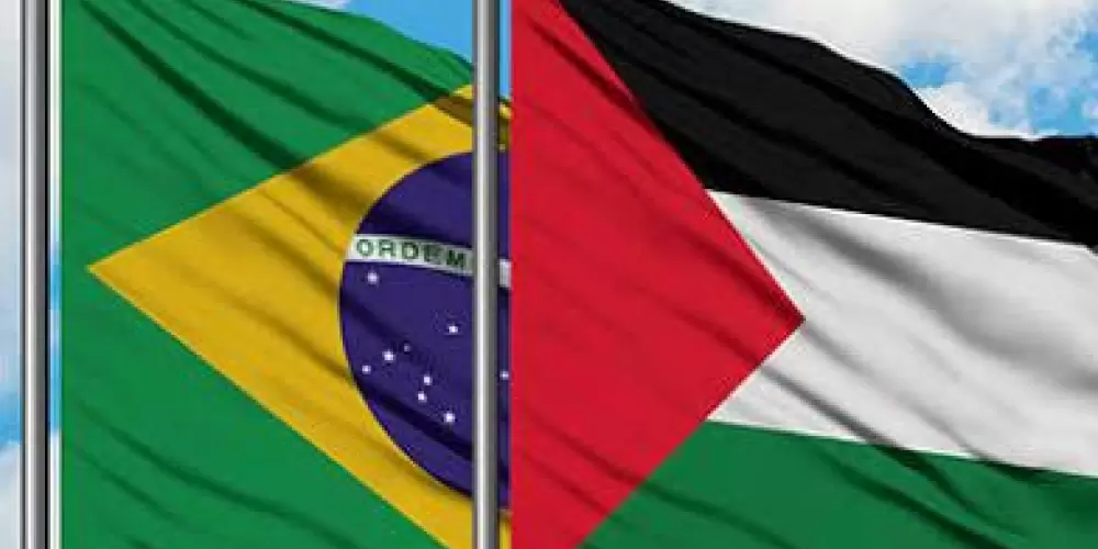 Imagem do grupo de WhatsApp Brasil pro palestina 🤝🇧🇷🇵🇸