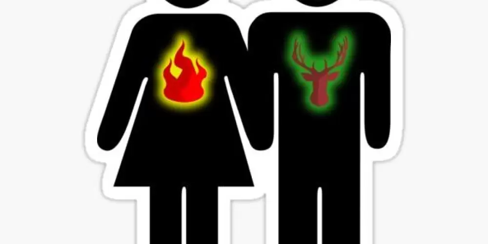 Imagem do grupo de WhatsApp BRASIL SWING 🇧🇷