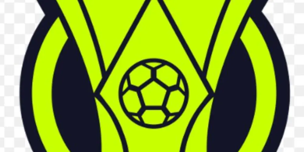 Imagem do grupo de WhatsApp Brasileirão misturado ✌️