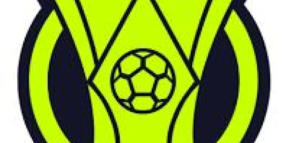 Imagem do grupo de WhatsApp Brasileirão (Rivais)
