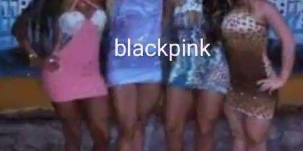 Imagem do grupo de WhatsApp Brasileirinhas(nhos) 👄