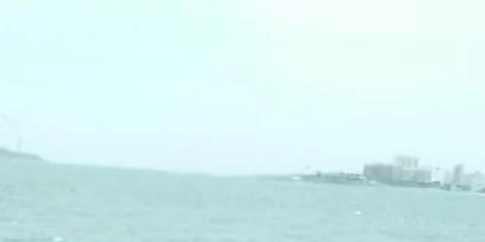 Imagem do grupo de WhatsApp Brasileiros e conversas