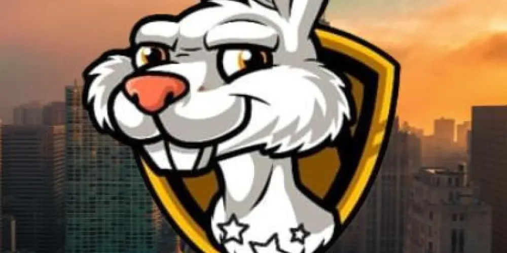 Imagem do grupo de WhatsApp Bravox RJ Roleplay