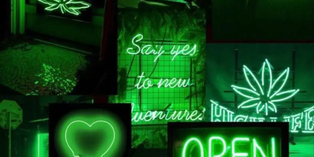 Imagem do grupo de WhatsApp breaking the rules