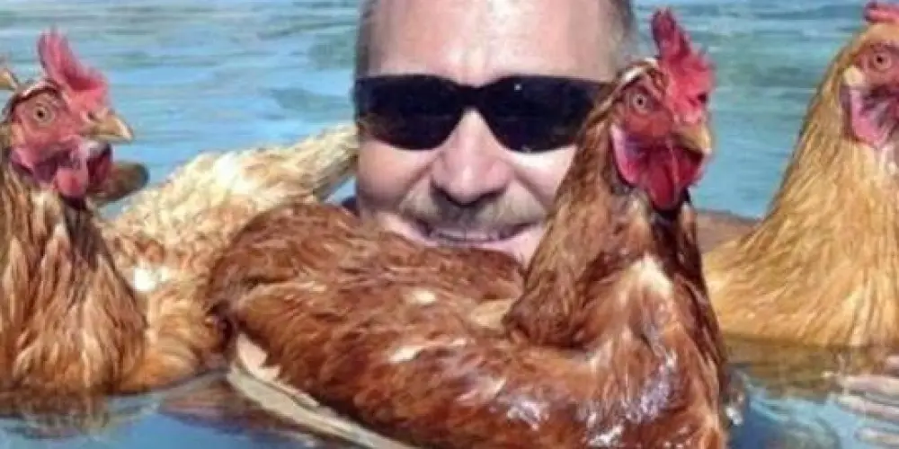 Imagem do grupo de WhatsApp ✨🏡 BRIGHTHOUSE  💬