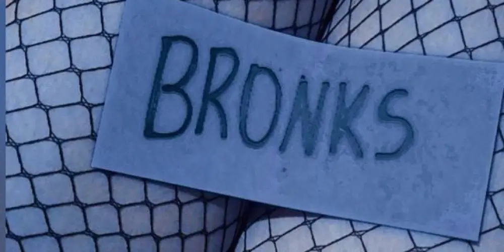 Imagem do grupo de WhatsApp BRONKS PUBLIC ☯︎ #11ANOS