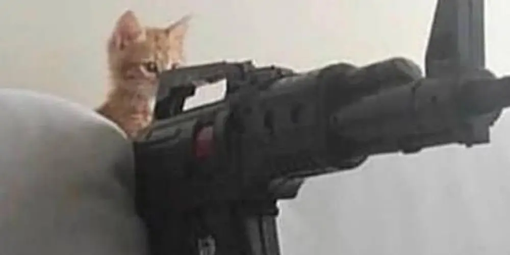 Imagem do grupo de WhatsApp BRUTAL ⋆༺𓆩☠︎︎𓆪༻⋆