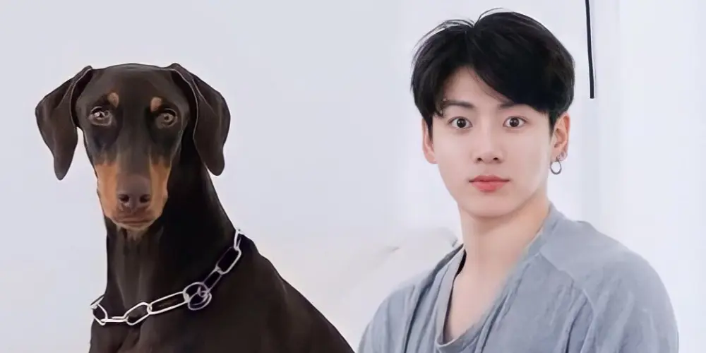 Imagem do grupo de WhatsApp BTS 💜 #Chat