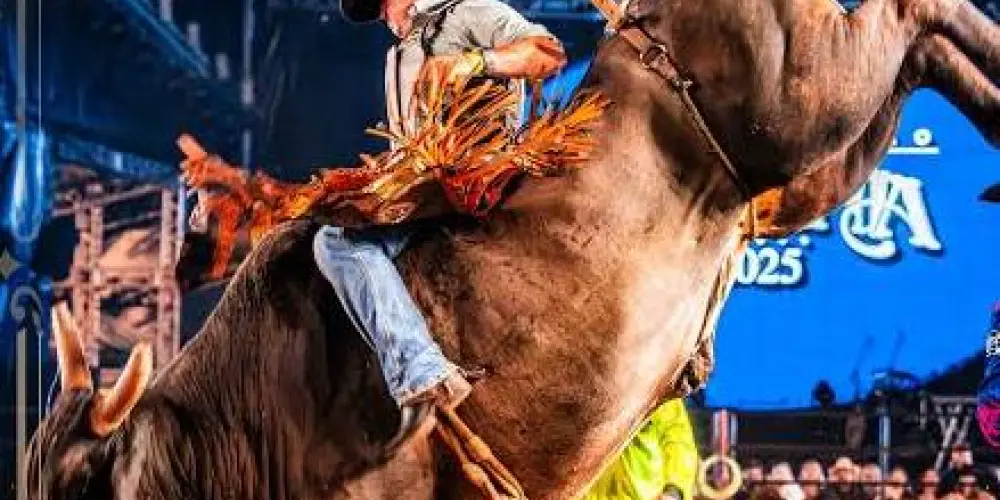 Imagem do grupo de WhatsApp Bull Rider Rodeio Oficial