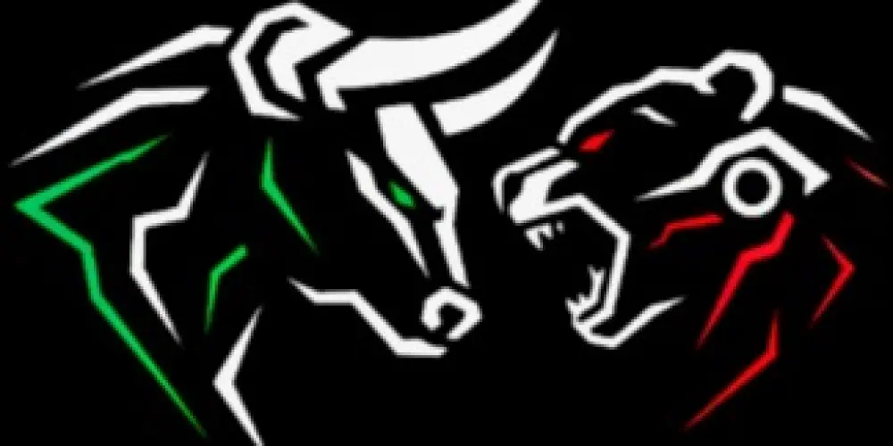 Imagem do grupo de WhatsApp Bull vs Bear 🐻