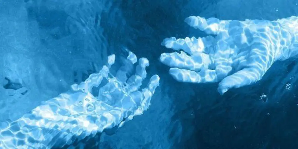 Imagem do grupo de WhatsApp Bungo stray dong