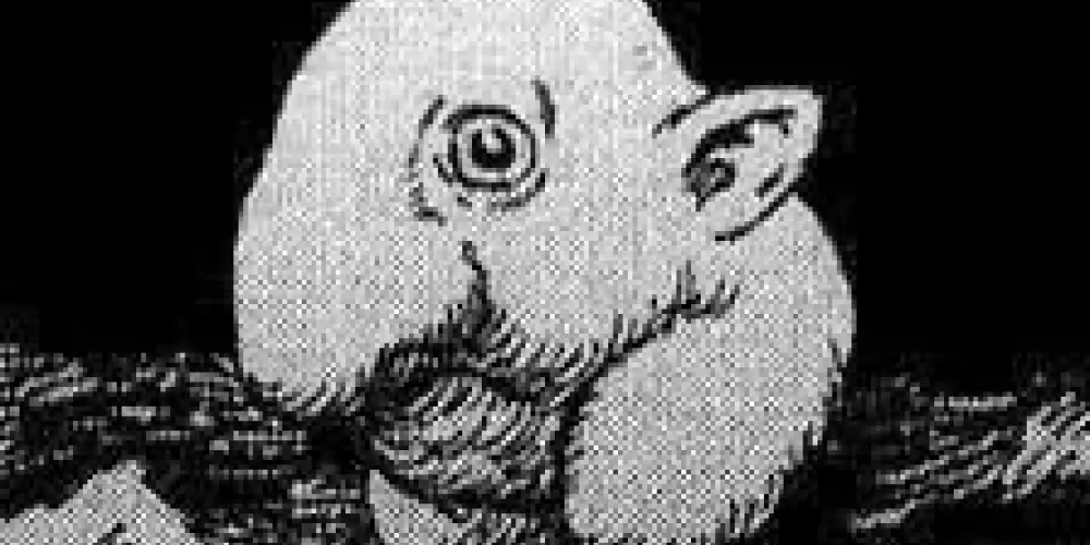 Imagem do grupo de WhatsApp [Bunker]