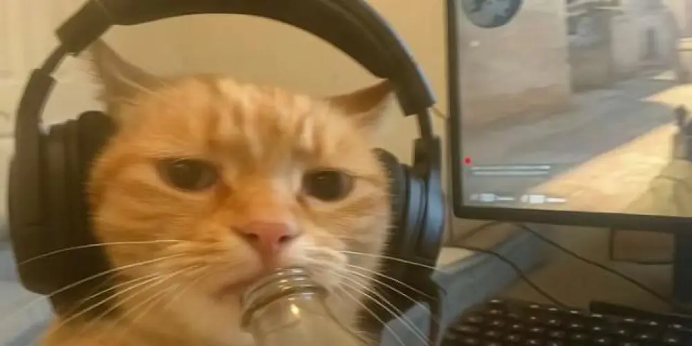 Imagem do grupo de WhatsApp Buteco dos Manos