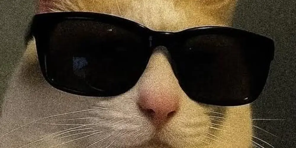 Imagem do grupo de WhatsApp Buuu ☠️ Amizades, zueiras , Relacionamento 😙