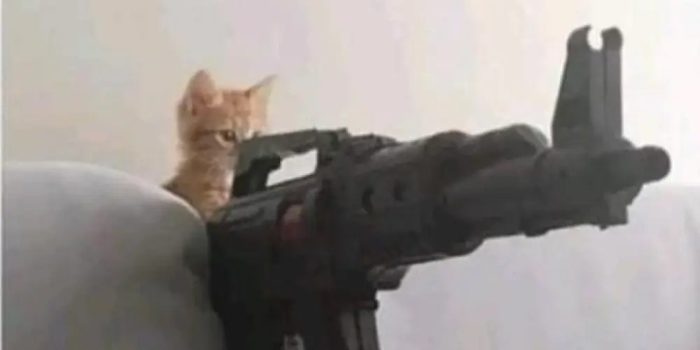 Imagem do grupo de WhatsApp C⃠𝕙𝕒𝕥•𝔻𝕖•ℂ𝕒𝕤𝕒 ✞︎