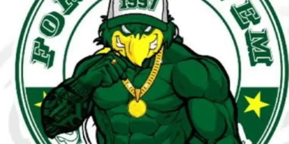 Imagem do grupo de WhatsApp ꜰᴏʀÇᴀ ᴊᴏᴠᴇᴍ ɢᴏɪÁꜱ  🇳🇬 ⚡