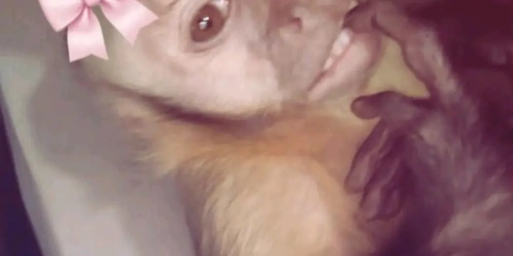Imagem do grupo de WhatsApp Cᴀʟᴍᴀ Lᴏᴠᴇ ™