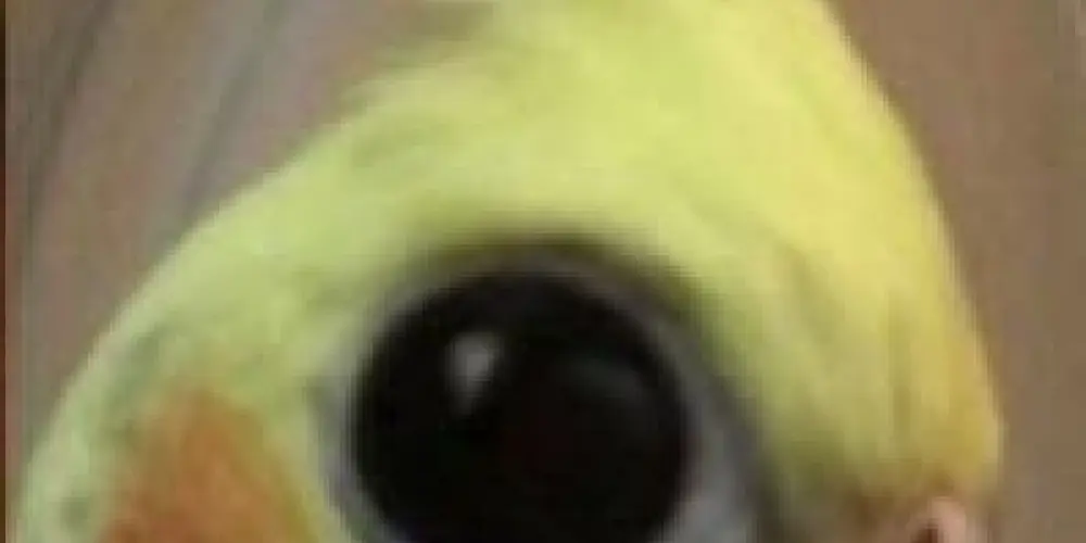 Imagem do grupo de WhatsApp 🌚 Cᥱᥒᥲ᥉ Lᥲ꧑ᥱᥒtᥲ́᥎ᥱι᥉ 🌝