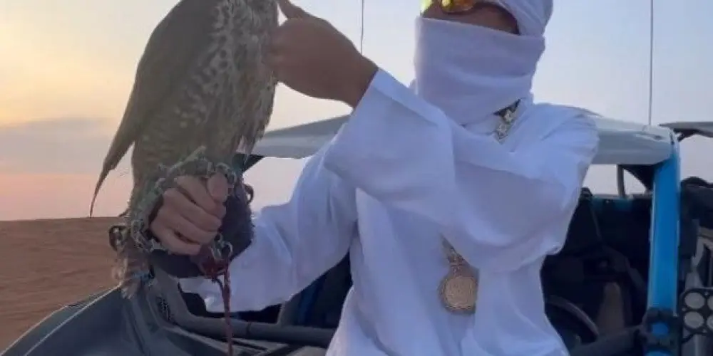 Imagem do grupo de WhatsApp 💯🔥Cᴏᴠɪʟ ᴅᴀ Wᴇʙ🔥☄️