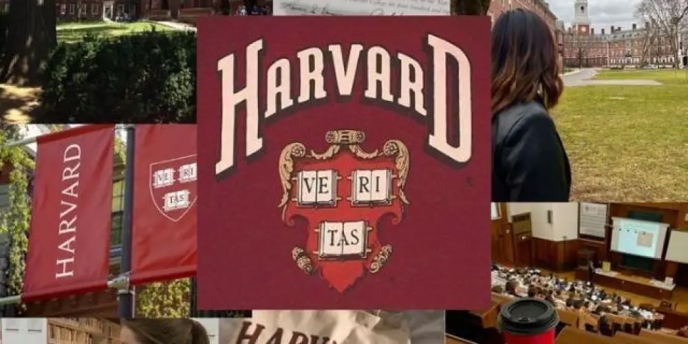 Imagem do grupo de WhatsApp ⊱✿⊰─𝐑𝐞𝐜𝐞𝐩çã𝐨─⊱✿⊰