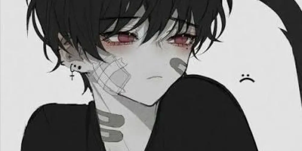 Imagem do grupo de WhatsApp 𝐙𝐀𝐘𝐍 𝐝𝐢𝐯𝐮𝐥𝐠𝐚çã𝐨