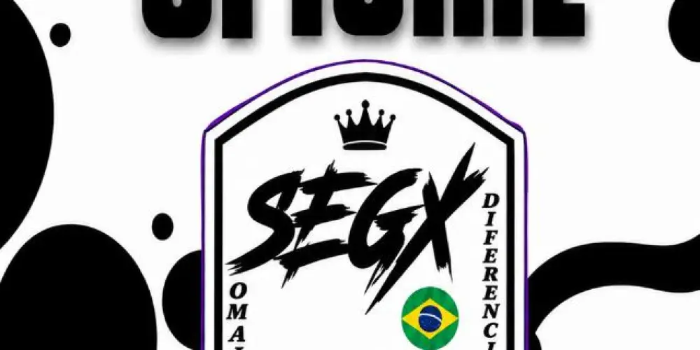 Imagem do grupo de WhatsApp 𝙎𝙞𝙢𝙪𝙡𝙖çã𝙤 𝙎𝙚𝙜𝙭