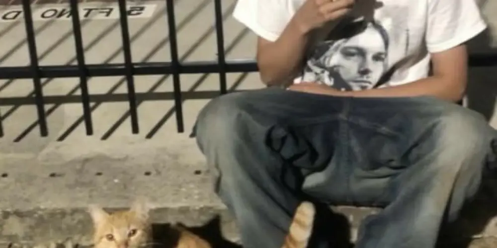 Imagem do grupo de WhatsApp 𝕯𝖊𝖘𝖎𝖓𝖙𝖊𝖌𝖗𝖆çã𝖔 𝖉𝖊 𝕮𝖆𝖉á𝖛𝖊𝖗𝖊𝖘 2