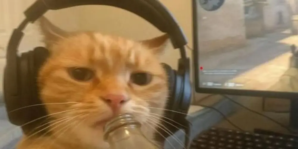 Imagem do grupo de WhatsApp CAÇA AOS GOLDS🪙