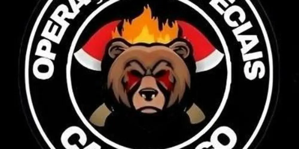 Imagem do grupo de WhatsApp Caça urso