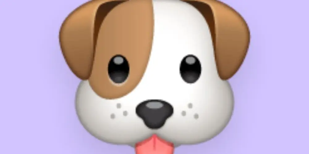 Imagem do grupo de WhatsApp CACHORRADA SEM LIMITES ☠