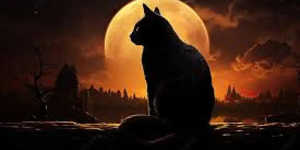 Imagem do grupo de WhatsApp 🔥👻CAJADO MAGICO🔥👻