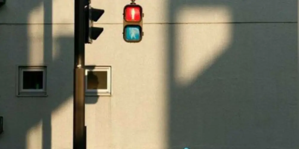 Imagem do grupo de WhatsApp Callzinha da madrugada