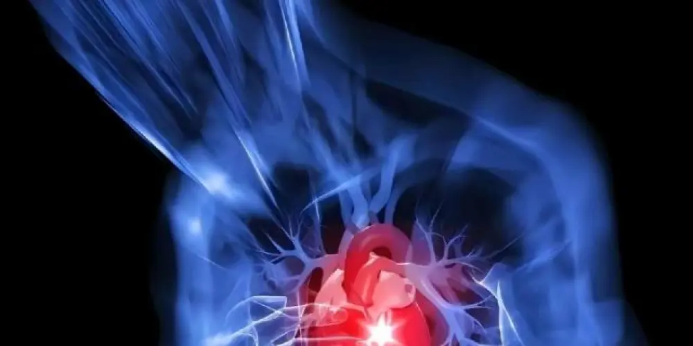 Imagem do grupo de WhatsApp Calma calabreso