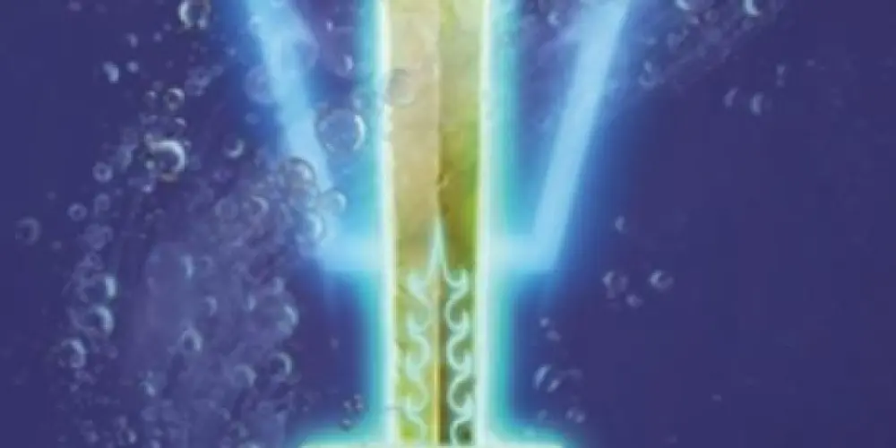 Imagem do grupo de WhatsApp CALMA CALABRESO🤪